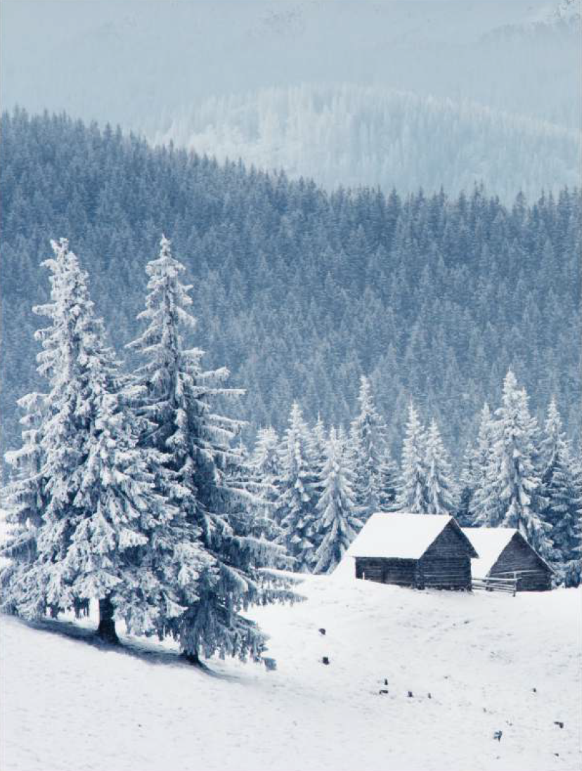 Cozy Winter